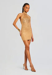 Bindi Embellished Knit Dress