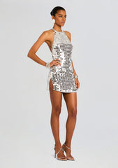 Freddie Embellished Dress